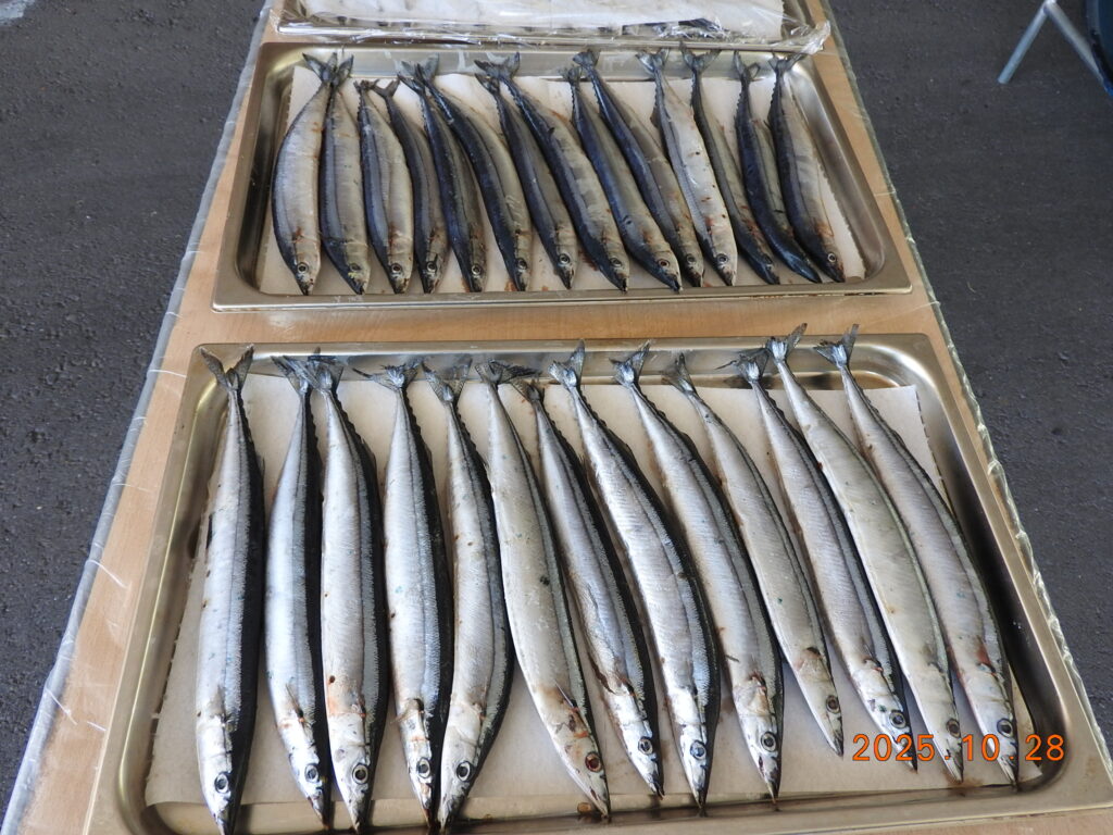 今が旬：炭焼きサンマ最高です！１０/２８